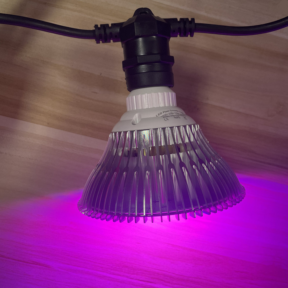 10M Kablo LED Dize Işık Zincir - Outdoor Lighting Cable incelemesi ve fiyatı